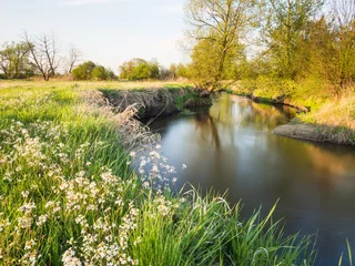 Fototapete Rund Nizinna meandrująca rzeka Jeziorka © jakubczajkowski
