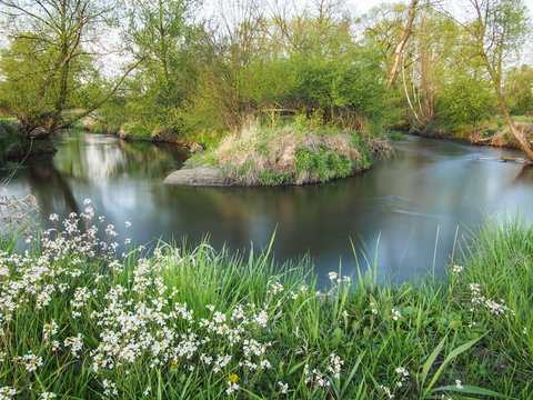 Zakole nizinnej rzeki, zielone drzewa i białe kwiaty wiosną
