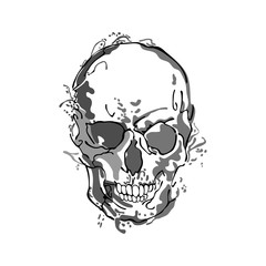 Skull. Splashes and drops of paint. Isolated object on white background.