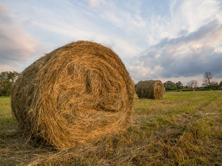 Siano na łące zebrane w bele © jakubczajkowski