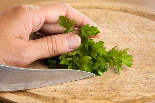 hand preparing parsley for chopping