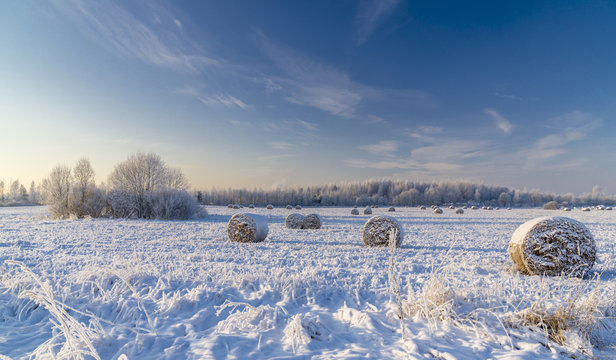 Snow covered hayfield