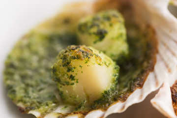 scallops