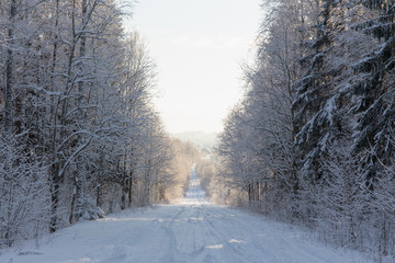 snow-covered rural road