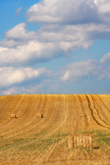 Cube hay bales