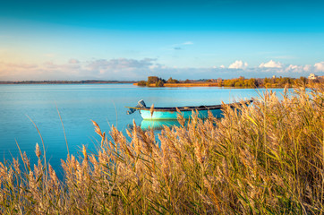 Etang de Canet,pyrénées orientales.