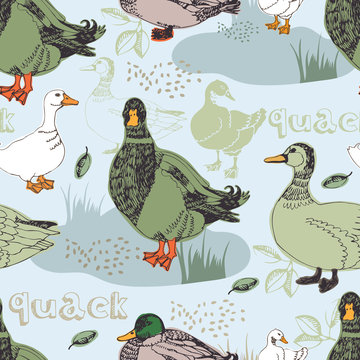 Duck Pattern