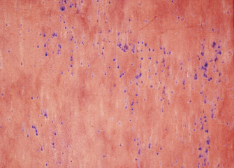 Old grunge wall texture