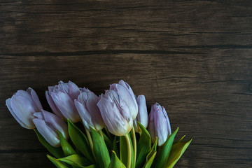 Bouquet of lilac tulips