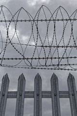 barb wire