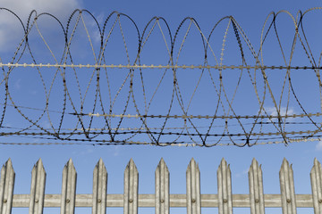 barb wire