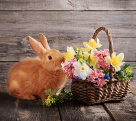little rabbit with spring flowers