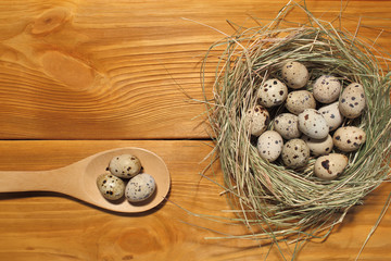 The composition of quail eggs in a nest from grass and wooden spoon lying on a panel of vintage brown boards with free space for text advertising of food or restaurant menu design.