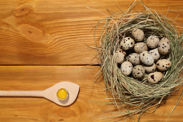 The composition of quail eggs in a nest from grass and wooden spoon lying on a panel of vintage...