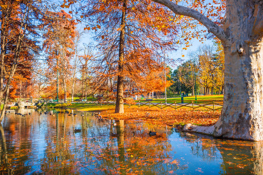 Parco Sempione Park In Milan