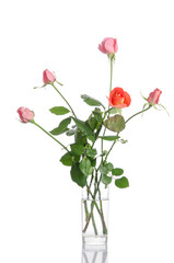 Obraz premium Beautiful bouquet of roses in a glass vase isolated on white bac