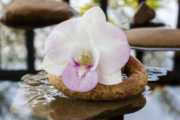 Fototapeta na wymiar orchid flowers on water and pebble