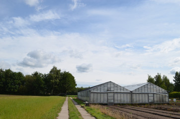 Greenhouses and meadow separated by concrete cart track