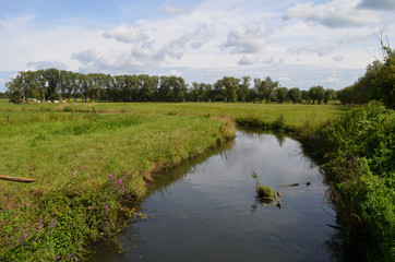 River flowing through meadow in rural Flanders