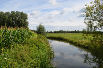 River flowing through rural area with corn field