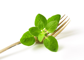 Fresh oregano sprig on fork