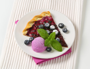 Slice of blueberry tart with ice cream