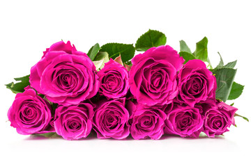 Bouquet of roses on a white background.