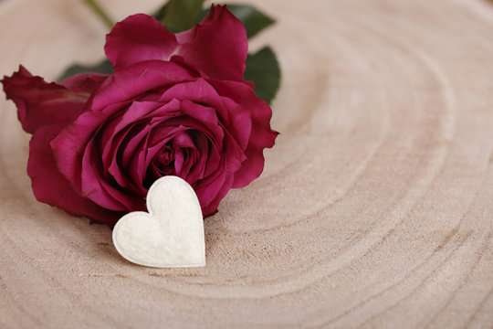 einzelne rose mithellem herz