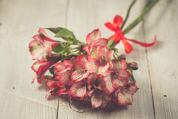 Pink alstromeria flowers