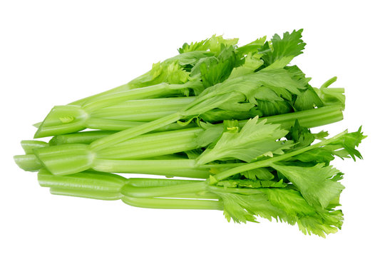 Bunch of Celery