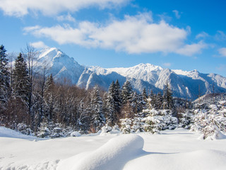Fototapeta na wymiar winter landscape in romanian bucegi mountains