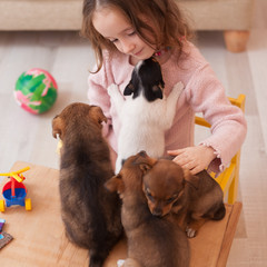 Girl playing with puppy from animal shelter
