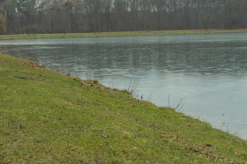 Frozen lake with meadow and text space