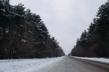 Obraz premium Freeway out of town. Snowy winter. Pine in roadside.