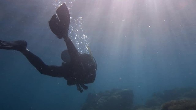 scuba diver