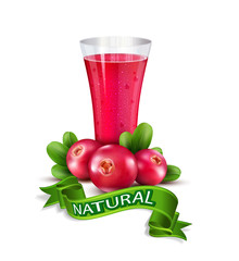 Vector glass cup with juice of cranberries 