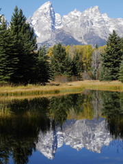 Portrait of Schwabacher Landing in Grand Teton National Park.