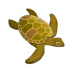 image sea turtle