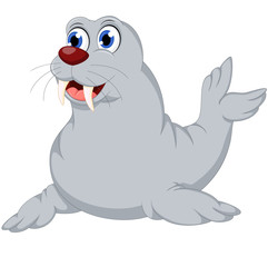cute Seal cartoon