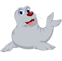 cute Seal cartoon