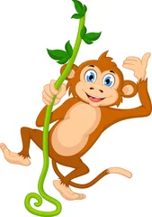 Fototapete Affe monkey cartoon hanging