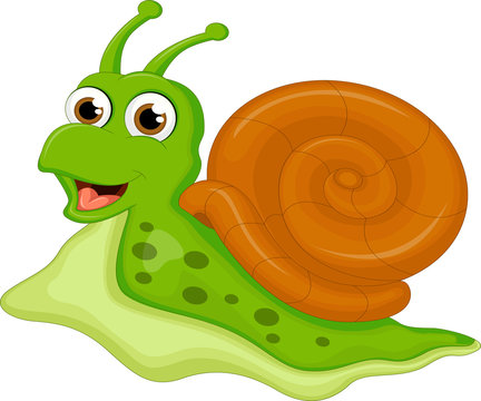 cute snail cartoon for you design