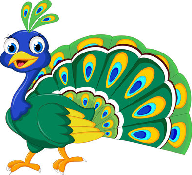 cute Peacock cartoon