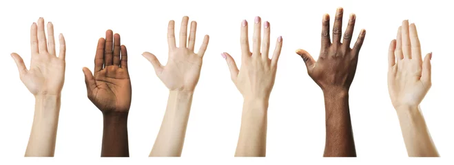 Fotobehang Set of raised hands, isolated on white © Africa Studio