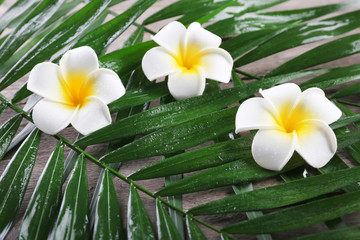 Fototapeta na wymiar Beautiful composition of frangipani flower with palm leaves on wooden background, close up