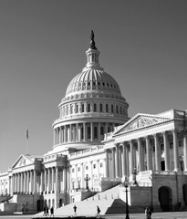 Fototapeta na wymiar Washington, DC, Capitol , USA black&white