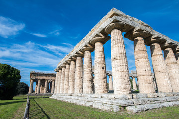 Naklejka premium Temple of Paestum - Salerno - italy
