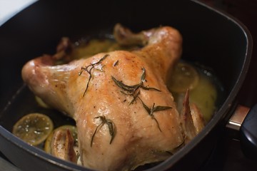 Roasted whole chicken close up in the roasting pan with rosemary herbs, salted and lying on the tin slices of organic lemon. Fresh and healthy food perfect for reduction diet.