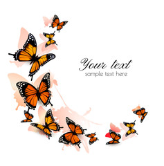 Beautiful butterfly background. Vector.