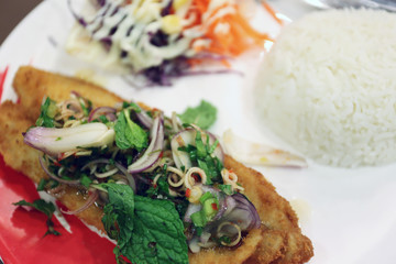 Salmon fried and jasmine rice on dish.
